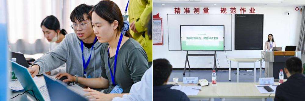 1765425132233031378.jpg 2.jpg